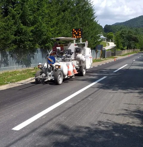 Marcajul rutier către Mănăstirea Lepșa a fost trasat! Cale liberă pentru șoferi! :)