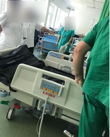 Un copil de 4 ani a fost mușcat de un râs în curtea casei sale. Operat de urgență la Spitalul Județean, a scăpat cu viață.