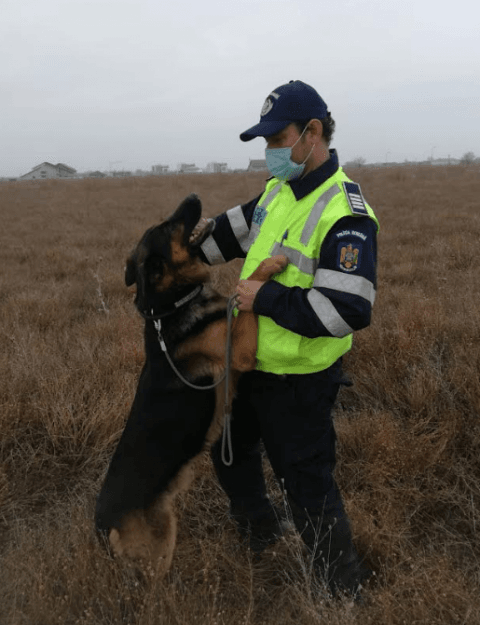 Câinele salvator! O fetiță de 9 ani, din Vânători, dispărută de acasă, a fost găsită de un câine-polițist!