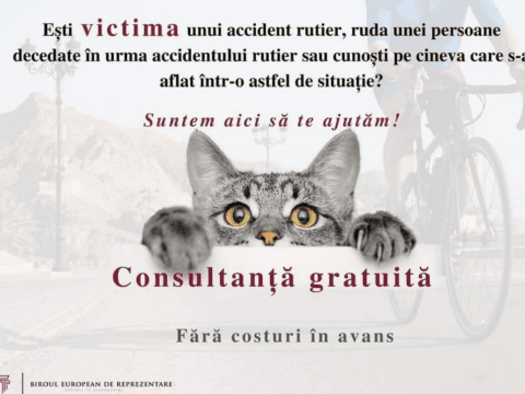 Ești victima unui accident rutier sau ruda unei persoane decedate? Te putem ajuta!