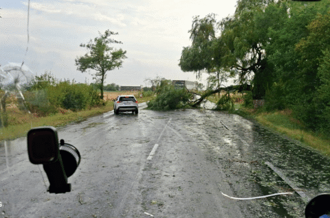 Alertă în trafic pe drumul național spre București, între Șindrilița și Lilieci. Drum blocat de un arbore căzut pe carosabil.