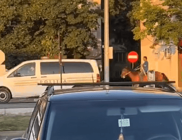 Video. Cu calul la galop, prin Focșani. A vrut să meargă să-l vândă în Piața Moldovei. 😁