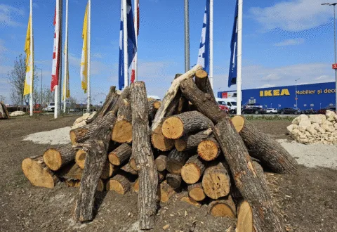 Tupeul celor de la Ikea. Au pus lemnele pe care le taie din pădurile României, în fața magazinului lor din București