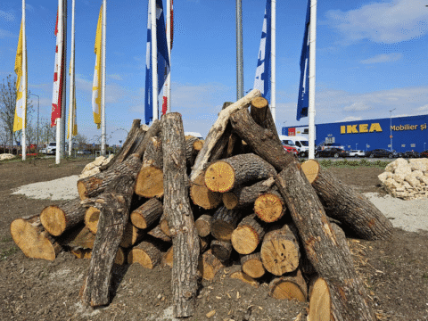 Tupeul celor de la Ikea. Au pus lemnele pe care le taie din pădurile României, în fața magazinului lor din București