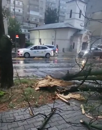 Video. Vijelia a făcut prăpăd în zona Capelă, la Focșani.