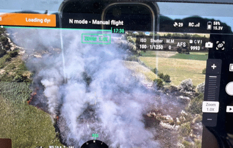 Video. Foc la Vânători. Incendiu de amploare pe mai multe hectare de teren.