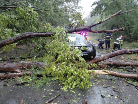 Ce probleme au fost ieri în județ după ploile căzute